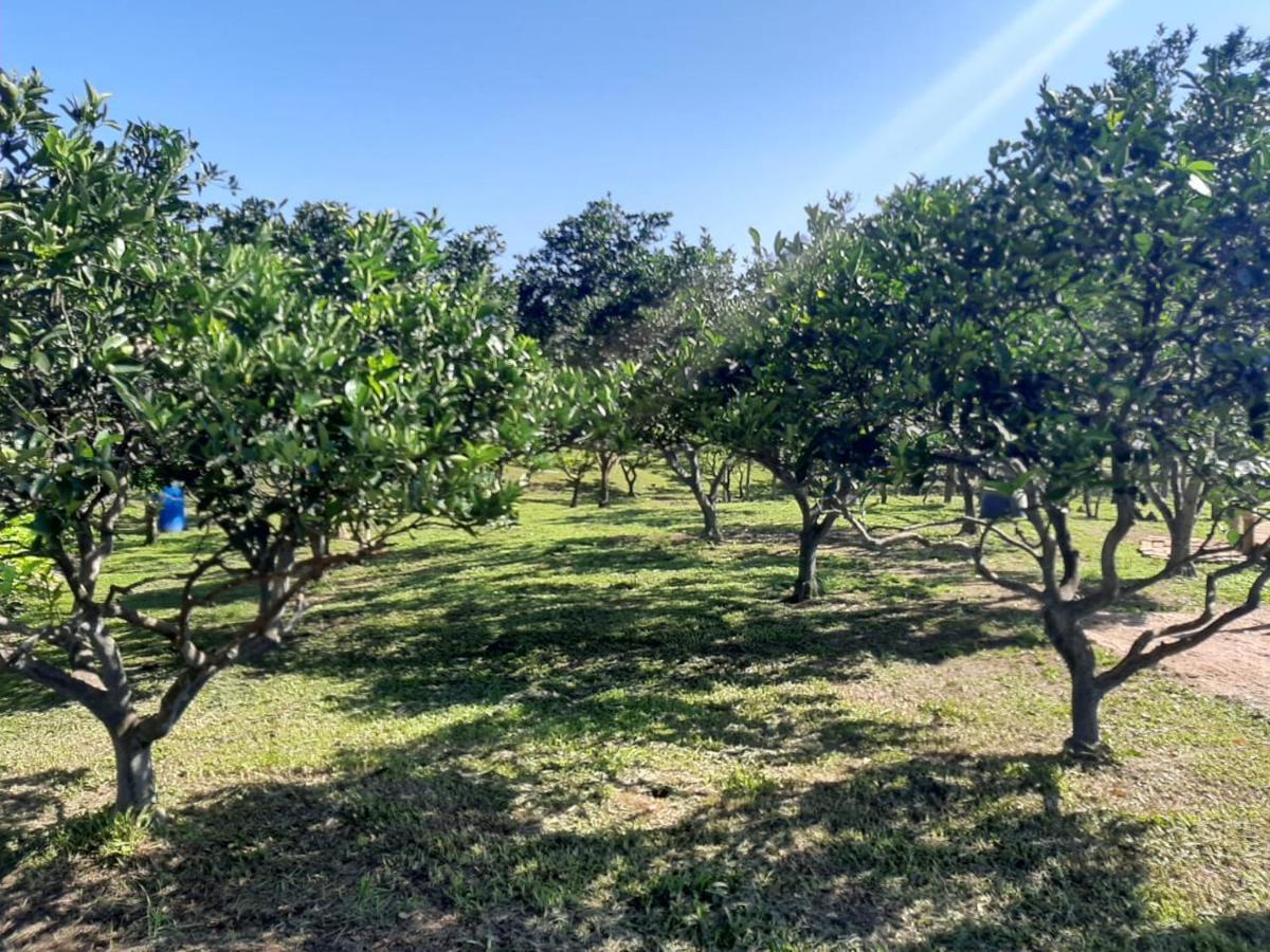 Casa Di Pecora - Pousada Rural Lauro Muller Eksteriør billede
