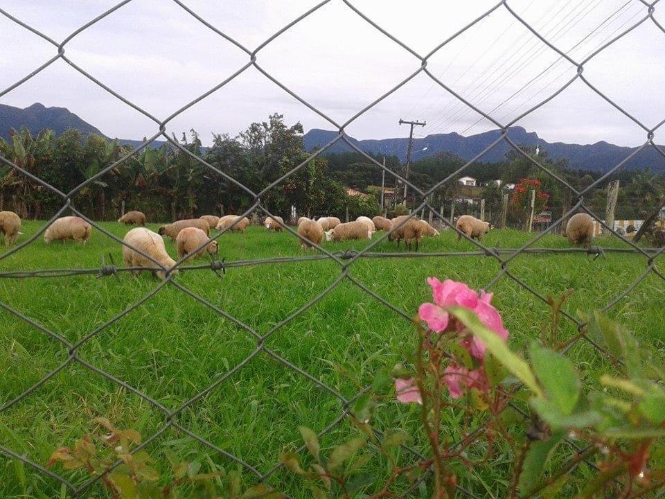 Casa Di Pecora - Pousada Rural Lauro Muller Eksteriør billede