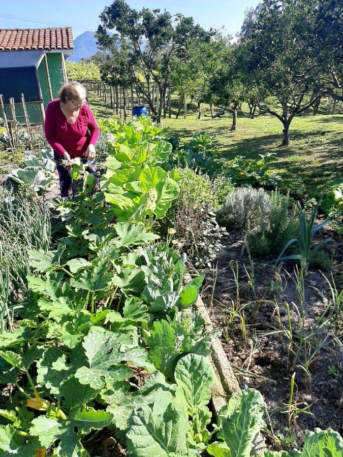 Casa Di Pecora - Pousada Rural Lauro Muller Eksteriør billede